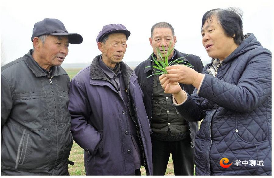 141556430884.jpg 杜立芝.jpg